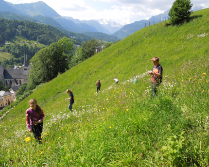 Students explore botany in the countryside. 